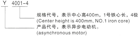 西安泰富西玛Y系列(H355-1000)高压YR4504-6/315KW三相异步电机型号说明