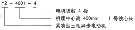 YR系列(H355-1000)高压YR4504-6/315KW三相异步电机西安西玛电机型号说明